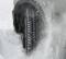 14-col, rabljene zimske pnevmatike, Rotal 165/65