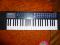 sintisajzer casio ca-110
