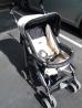 Peg Perego