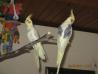 2 mladi papigi NIMFI