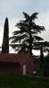 Les od cedre in ciprese