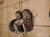 Goretex zimski čevlji