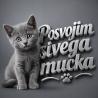 Posvojim sivega mucka