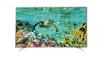 LED TV LG 55UH650V