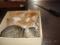 Podarim mucke,stare 2 meseca.Tel:041973106