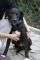 ARON