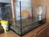 Močvirska želva z akvarijem in vso opremo!