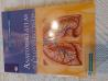 Človeško telo, Anatomski atlas